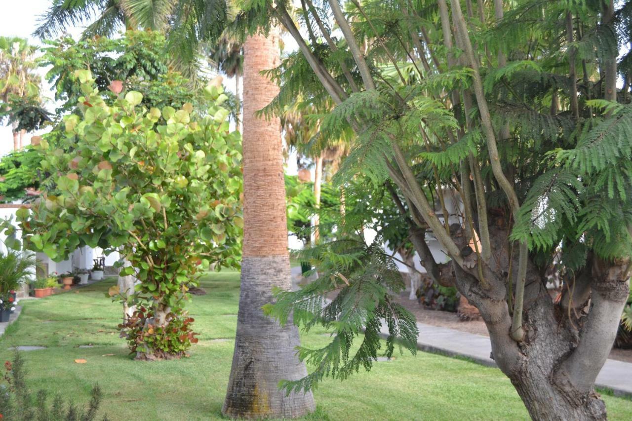 Maspalomas Experience Holiday House المظهر الخارجي الصورة
